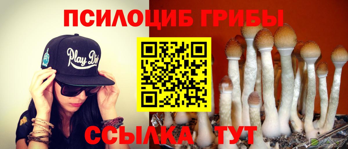 Псилоцибиновые грибы ЛСД  Вход с VPN  Белогорск  Галлюциногенные грибы ЛСД 